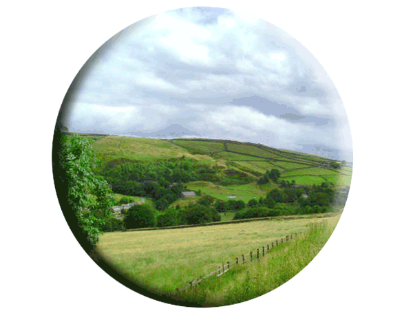 marsden-view | Hanson Music & Arts